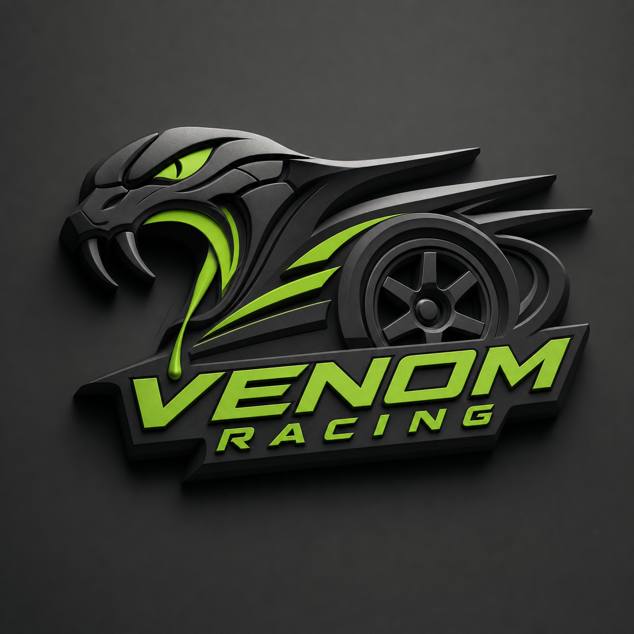 Venom Racing logo — high-contrast racing team brand with red accent